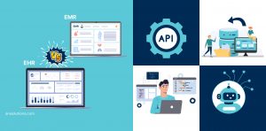 EMR vs EHR: Functional Differences Developers Must Understand Meta Image