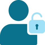 choose-section new icon