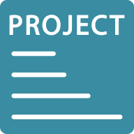 Project-based EHR development icon - fixed scope structured delivery